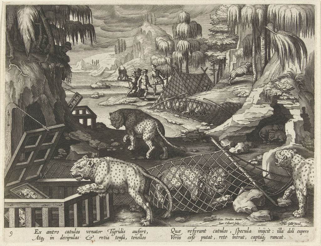 Leopard hunting with mirrors. Venationes Ferarum, avium, piscium pugnae Bestiariorum. Jan Collaert II after Jan van der Straet, 1594-1598. Rijksmuseum: RP-P-BI-6118